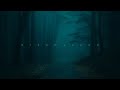 leadwave - memories (1 hour loop)