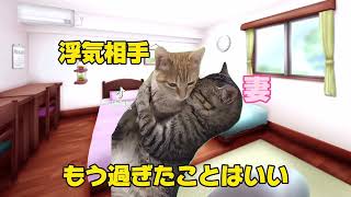 【1000万再生突破】本当にあった危険な浮気イッキ見パート1#猫ミーム#猫meme