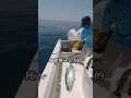 桿桿中魚是怎樣的感覺？ #fishing #戶外