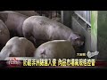 大台中新聞 大安肉品市場防疫措施