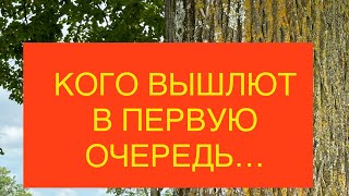 Границы закрывают массовые депортации. Как меняется все в Германии