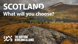 SCOTLAND: Choose Rewilding | Live Webinar