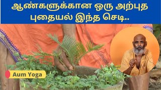 ஆண்மை அதிகரிக்க இரத்தம் விருத்தியாக நரம்பு தளர்ச்சி வராமல் தடுக்க மற்றும் சரிசெய்ய ... !!