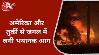 America और Turkey से जंगल में लगी भयानक आग, तेज हवाओं ने बढ़ाई मुसीबत! | देखें Duniya Aaj Tak