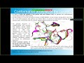 Different approaches for finding ligands inhibiting the NSP10/NSP16 complex of the SARS-CoV-2 virus