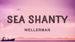 Download Lagu Nathan Evans Sea Shanty... MP3 Gratis