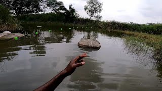 ఈ వల చూశారా ఎప్పుడైనా // ringnet capsule //fishing