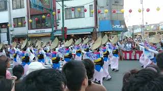 【踊りに心奪われて】「新のんき連」＠徳島市阿波おどり　#阿波踊り #阿波おどり #japan #festival