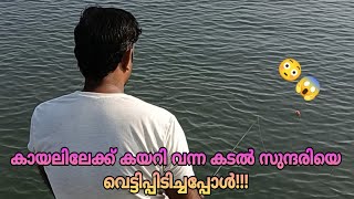 കായലിലേക്ക് കയറി വന്ന കടൽ സുന്ദരിയെ വെട്ടിപ്പിടിച്ചപ്പോൾ😱😳|Fishing Kerala|DEEPU BABU|