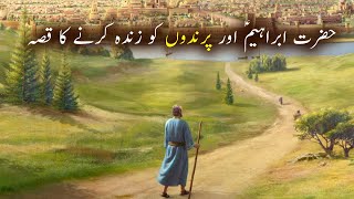 Hazrat Ibrahim as aur Murda Parindon Ko Zinda Karne Ka Waqiya | Islamic Stories | Islamic LifeCycle