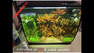 The Office Tank! It's easier than you think