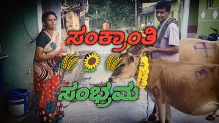 ನಮ್ಮೂರ ಸಂಕ್ರಾಂತಿ ಸಂಭ್ರಮ🌾🌻🌾🐃 #sankranthi #kannada #village