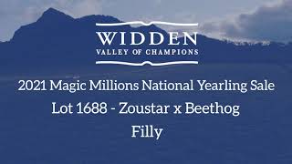 Widden - 2021 MM National Yearlings - Lot 1688 - Zoustar x Beethog - Filly