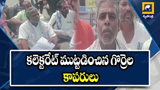 కామారెడ్డి జిల్లా కలెక్టరేట్ ముట్టడించిన గొర్రెల కాపరులు.. న్యాయం చేయాలని డిమాండ్ | Swatantra TV