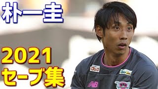 朴一圭　サガン鳥栖　2021年セーブ集