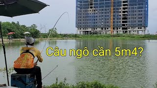 Câu Cá Trắm Bằng Cần Ngắn Tại Hồ Rộng?