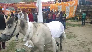 Short Documentary Pori Mela 20 August 2022 Triloknath Lahul Spiti in HD and 4k