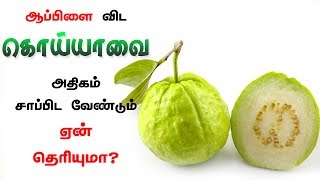 ஆப்பிளை விட கொய்யாவை அதிகம் சாப்பிட வேண்டும்!! ஏன் தெரியுமா?