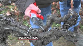 FELCO 820 for viticulture works - Subtitled in Portuguese