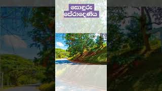 University of Peradeniya || සොඳුරු පේරාදෙණිය සරසවිය  ♥️