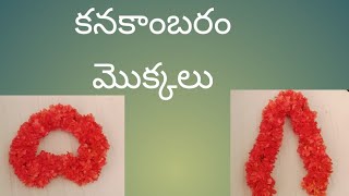 మా ఇంట్లో విరగపూసిన కనకాంబరం పువ్వులు #flowers# crossandra plant#teluguvideos