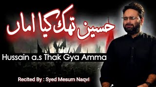 Hussain Thak Gyaa Amma || Noha Khwan: Syed Mesum Naqvi || Muharram 2023