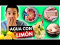 Tomar AGUA CON LIMÓN en AYUNAS🍋Los verdaderos BENEFICIOS