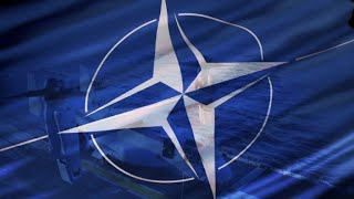 La OTAN | AFP Animé