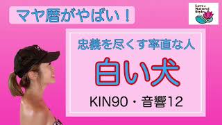 【マヤ暦がやばい！】白い犬の特徴・忠義を尽くす率直な人です‼︎【KIN90・音響12】