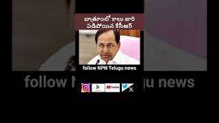 బాత్రూంలో కాలు జారి పడిపోయిన కేసీఆర్‌ #kcr #congress #politics #news #telugu #short #shorts#art#live