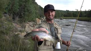 Browns, Bows and Storms on Chama