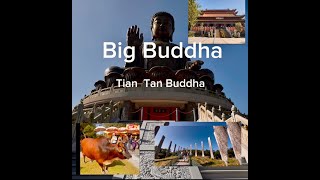 How to go Tian Tan Buddha /Big Buddha, Po Lin Monastery, Wisdom Path for first time