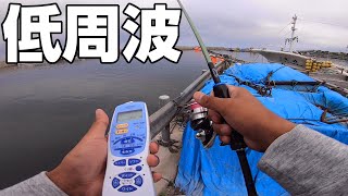 低周波治療器を使用してロックフィッシュゲーム