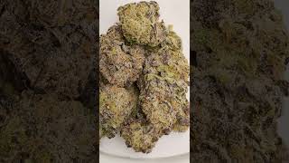 Hash Burger 🍔 Cannabis strain review/W Dr. Greenbody 🔥