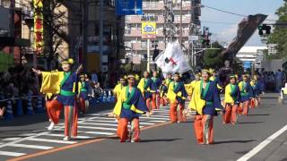 七色七味／流し会場①／草加ふささら祭り踊るん♪よさこい2015