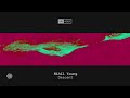 Nihil Young - Descent