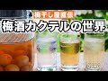 【梅酒活用】梅干し屋が愛飲している梅酒カクテル4選