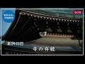 第1408回「寺の存続」2024 11 14【毎日の管長日記と呼吸瞑想】｜ 臨済宗円覚寺派管長 横田南嶺老師