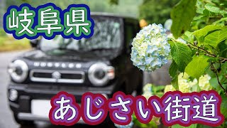 【新型ハスラー×紫陽花】雨のあじさい街道をドライブ　岐阜県関市