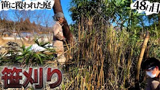 A big struggle with the crowded bamboo grass ...Many gifts have arrived [Day 48] Part7