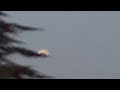 ufo sighting in sedona arizona usa 8 january 2025