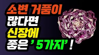 신장이 좋아지는 5가지 음식ㅣ콩팥을 살리는 신장에좋은음식ㅣ콩팥병에 나쁜음식과 구별하세요