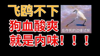 【半碗】推文《飞鸥不下》，就是那个狗血的feel倍儿爽！