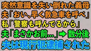 【スカッとする話】突然意識を失い倒れた義母。夫「おい、早く救急車を呼べ」 私「警察も呼んでるから」 夫「まさかお前知っていたのか   」→数分後 夫は現行犯逮捕された【修羅場】