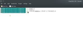 How to Call C Code from Python: Structs, Pointers and Strings