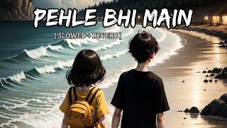 pehle bhi main { Slowed+Reverb } | Animal | Vishal Mishra | Bw Indian Music #animal #vishalmishra