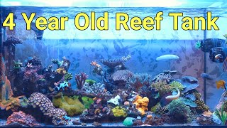 5 Things You Need To Know About An Established Reef Tank