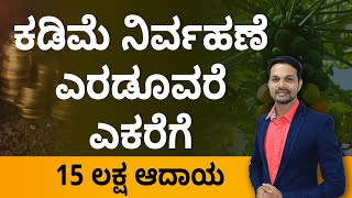 Get Huge Profits In Papaya Farming | How to Start Papaya Farming in Kannada | Anil Kumar