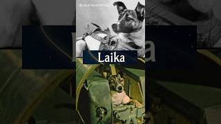 Laika: First Dog in Space | The Ultimate Sacrifice #space #history #spaceexploration #spaceflight