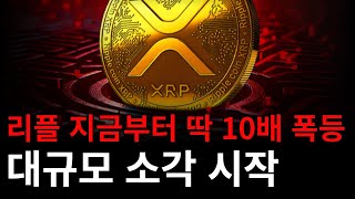 리플 지금부터 딱 10배 폭등 대규모 소각 시작 #리플 #리플코인 #리플코인전망 #리플전망 #xrp #리플etf #리플실시간